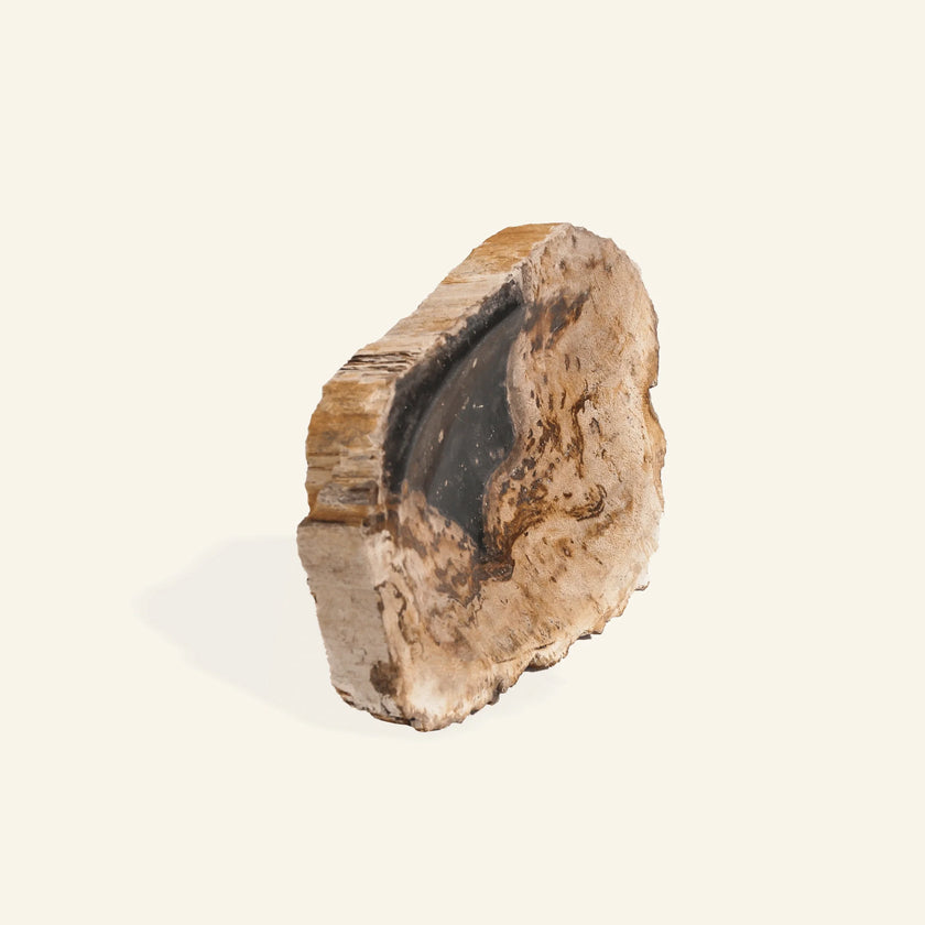 Porte savon en bois pétrifié