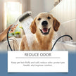 Moisturizing Pet Shampoo for Dogs & Cats – Coconut Oil & Milk Formula (100ml)