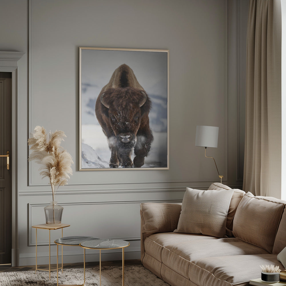 Wall Art Bison en approche