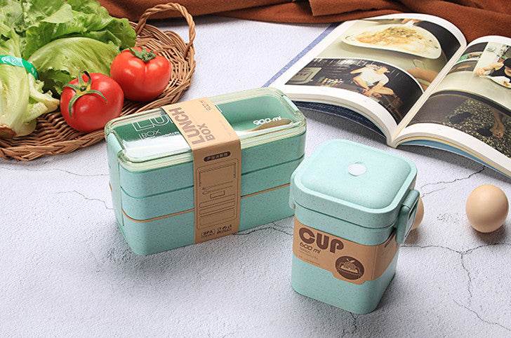 Microwave-Safe Multi Layer Lunch Box for Kids