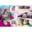 Trefl - PUZZLE - LOVELY KITTENS - 160pcs