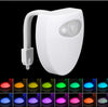 Motion-Sensor Toilet Night Light – 8 & 16 Colour LED, Battery Powered