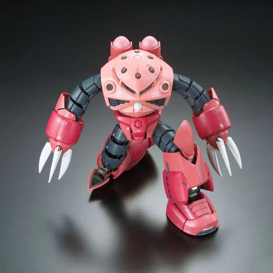 RG 1/144 Zgok Char Custom