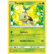Turtwig (6) (6/156) (SM05)