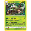 Torterra (9/156) (SM05)
