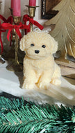 Puppy