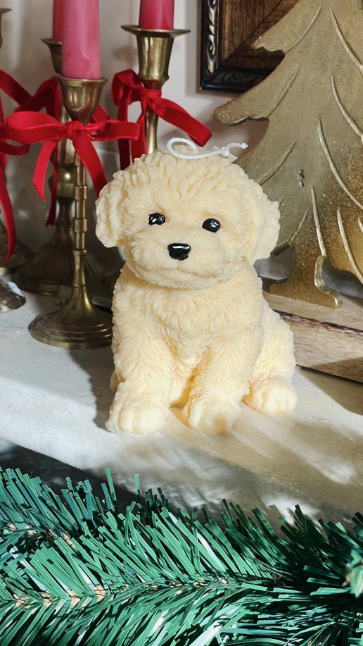 Puppy