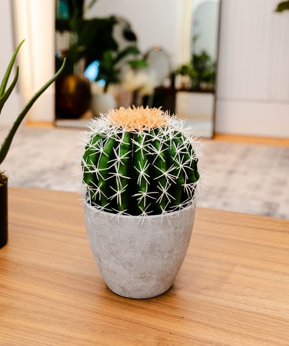 Coco Artificial Cactus Potted Plant 11