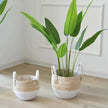 Hand Strawed Flowerpot Basket Fibre Plant Pot