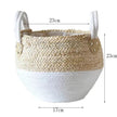 Hand Strawed Flowerpot Basket Fibre Plant Pot