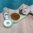 Automatic Pet Feeder Bowl with Water Fountain – Double Bowl for Cats & Dogs