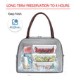 Women Fashionable lunch bag for Work