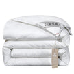 Summer Quilt Spring And Autumn Thickening Thermal Winter Duvet