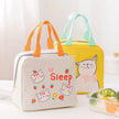 Portable Insulated Cartoon Girls Lunch Bag for Kids