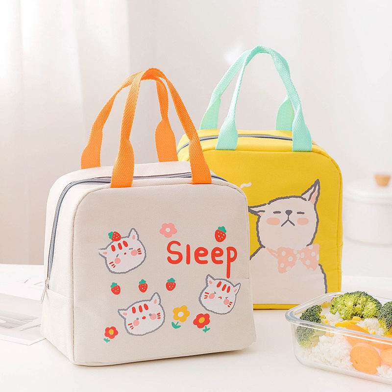Portable Insulated Cartoon Girls Lunch Bag for Kids