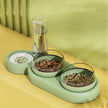 Automatic Pet Feeder Bowl with Water Fountain – Double Bowl for Cats & Dogs
