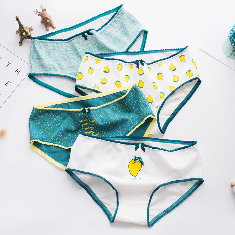 Women's Cartoon Print Cotton Underwear – Cute Novelty Bikini Panties (4 Styles, L & XL)