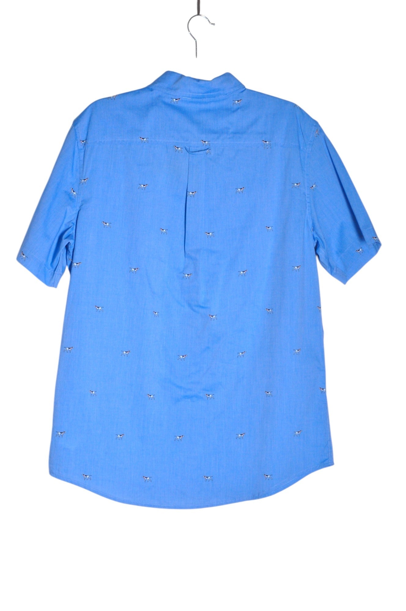 CHAPS Men Button Down Tops Regular fit in Blue - M