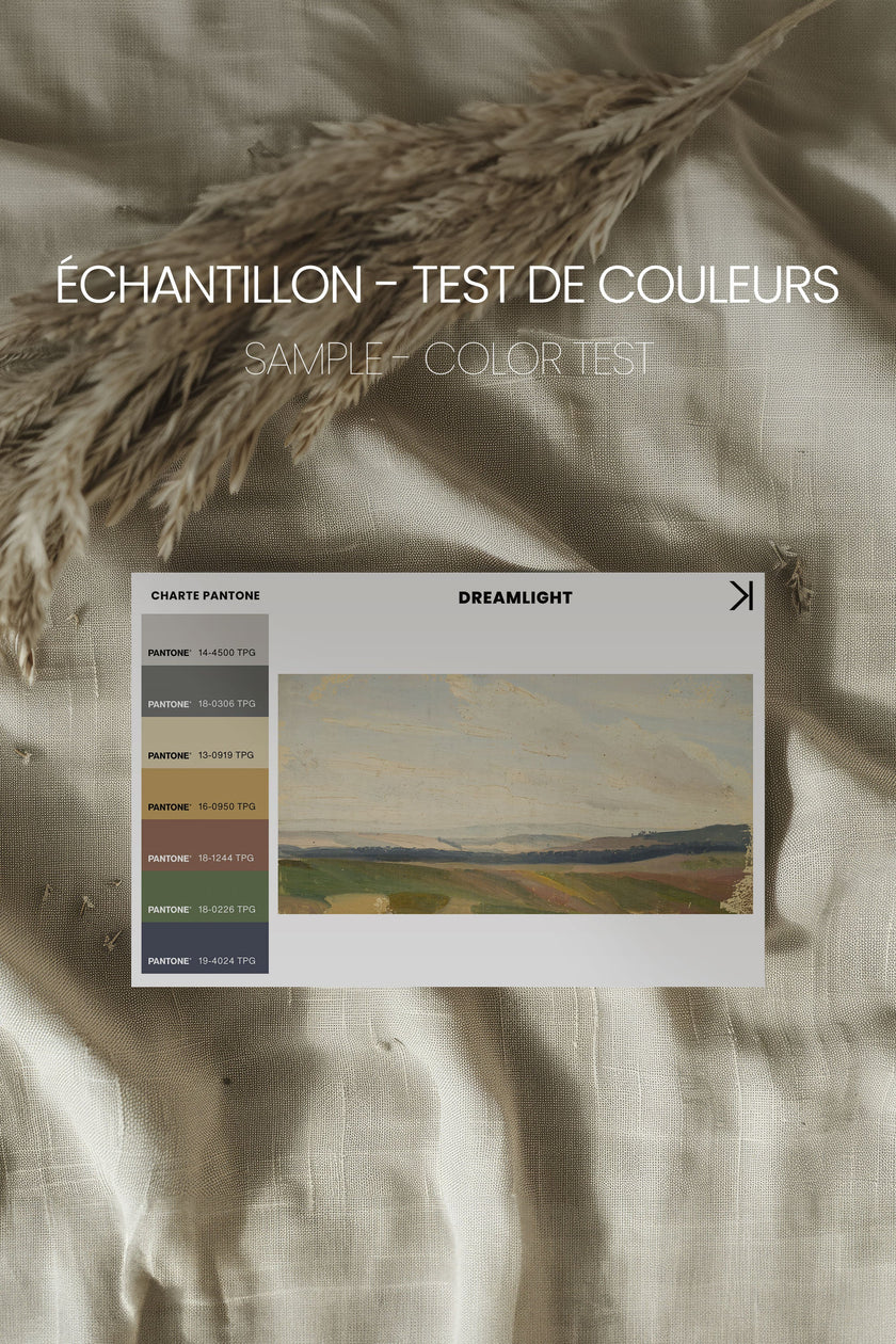 DREAMLIGHT, Oeuvre sur toile étirée