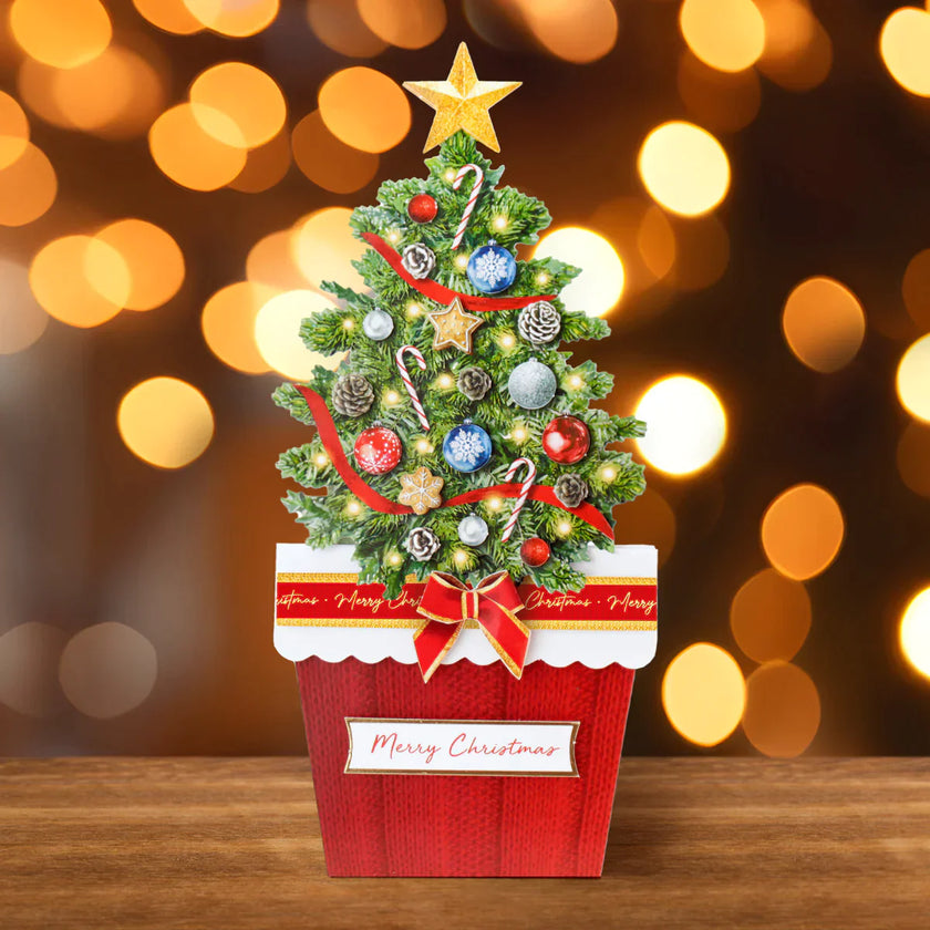 Christmas Flower Pots Card Making Kit