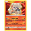 Torkoal (29/168) (CES)