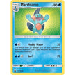 Marshtomp (34/168) (CES)