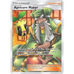 Apricorn Maker (Full Art) (161/168) (CES)