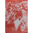 Premium Bandai MG 1/100 Gundam Heavyarms EW Igel Equipment