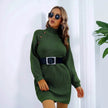 Elegant Autumn Winter Mini Turtleneck Sweater Dress