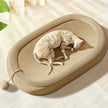 Ivory Cat Scratching Board and Bed Combo