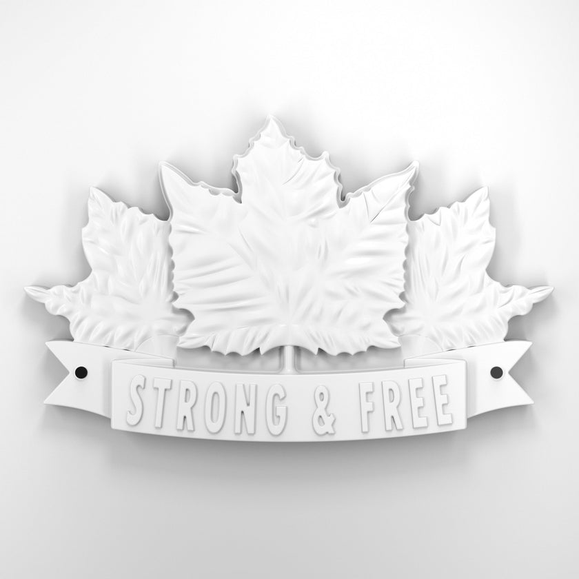 Strong and free • Plaque [1729]