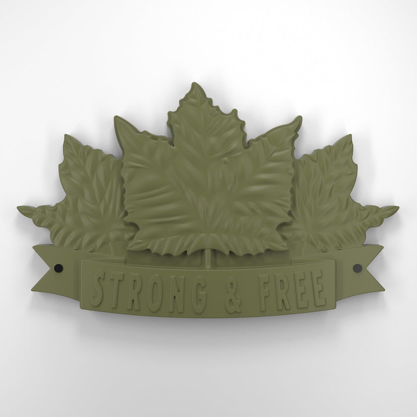 Strong and free • Plaque [1729]