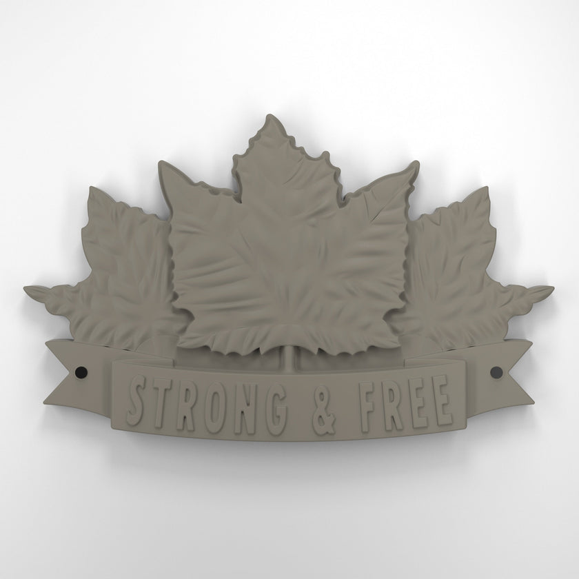 Strong and free • Plaque [1729]
