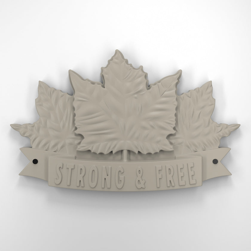 Strong and free • Plaque [1729]