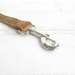 Pet dog ring leash