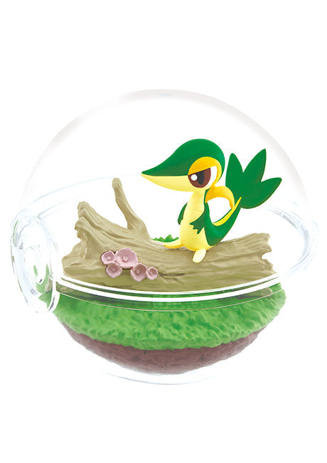 Pokemon Terrarium Collection 12 (1 Random Box) (Re-ment Blind Box)