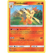 Combusken (5/70) (DRM)