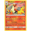 Blaziken (6/70) (DRM)