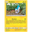 Pachirisu (80/214) (SM8)