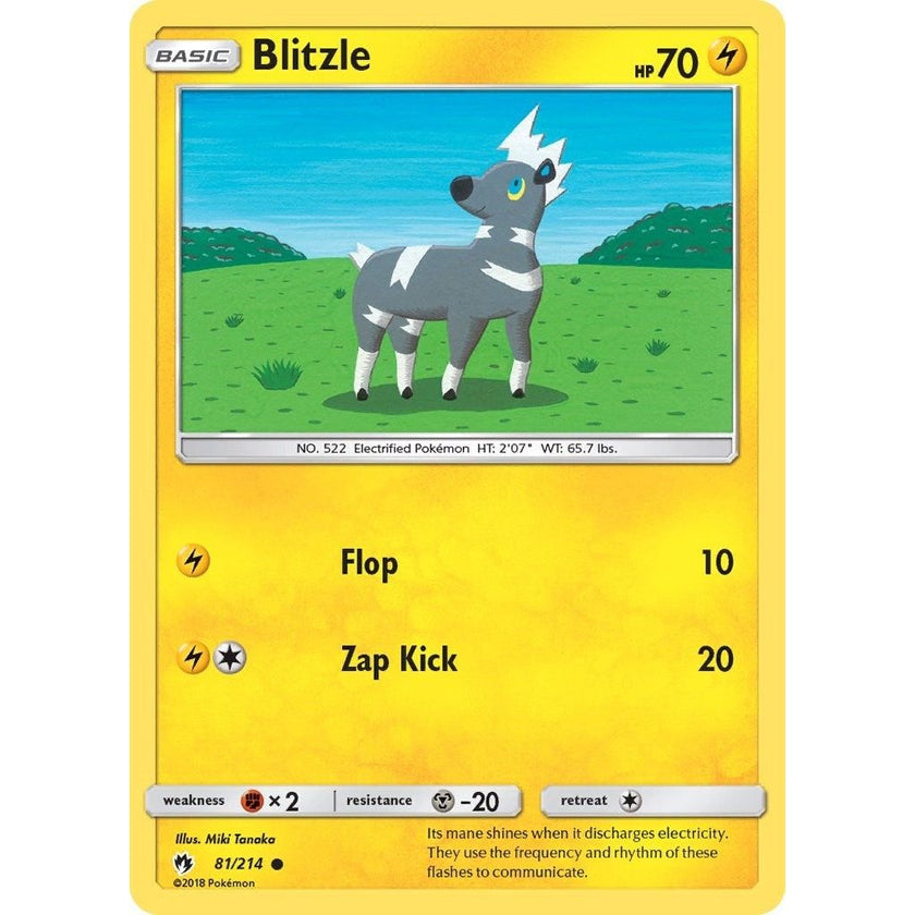 Blitzle (81/214) (SM8)