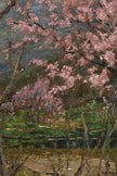 FLORAISON SAUVAGE, CADRE VINTAGE BRONZE