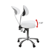 Silverfox Rolling Stool with Back Support 1025E