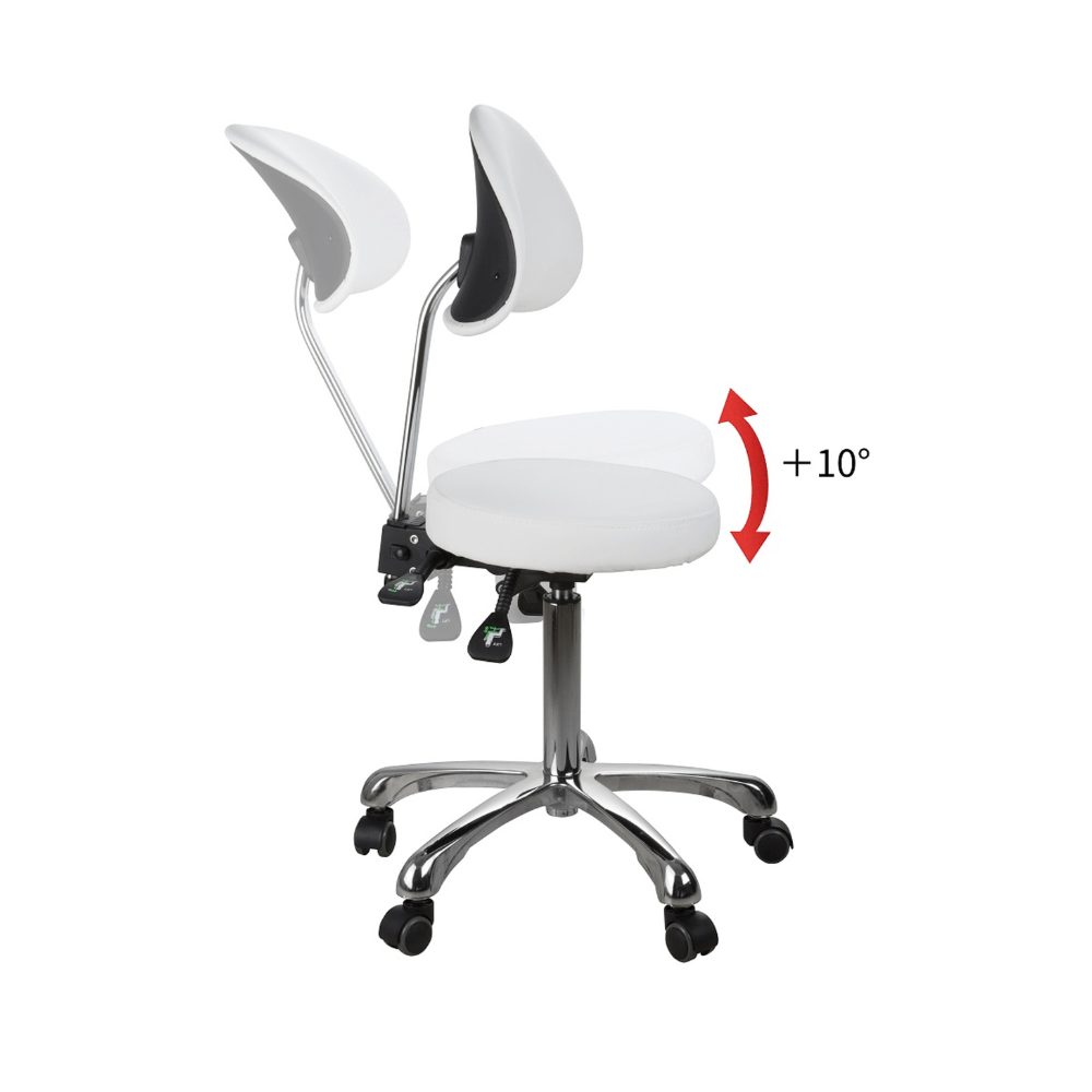 Silverfox Rolling Stool with Back Support 1025E