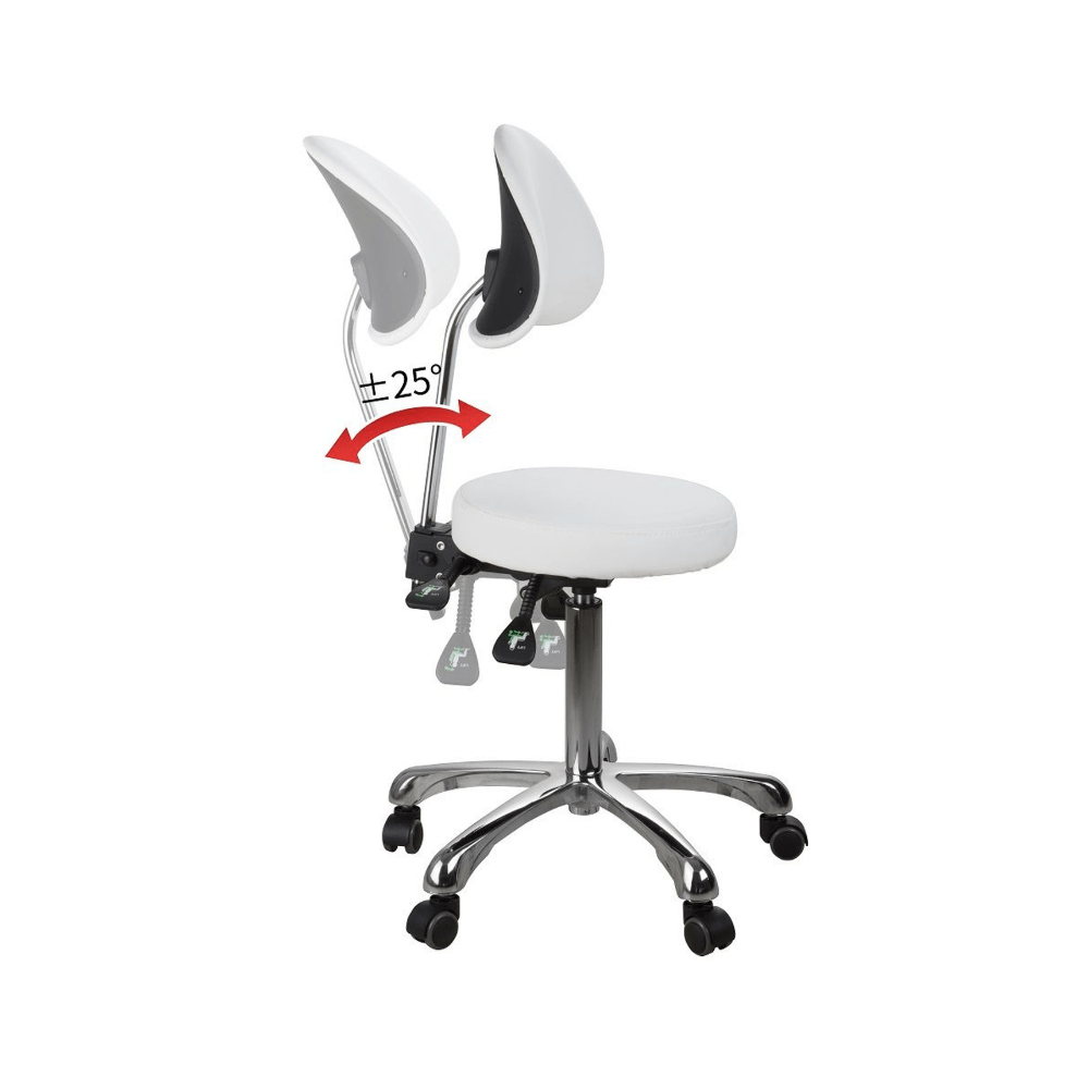 Silverfox Rolling Stool with Back Support 1025E