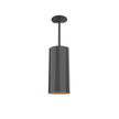 Évolution - Luminaire plafonnier cylindrique pour l'extérieur avec tige PAR38 - 1827T