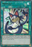 Mimicat (SS01-ENV03) - Speed Duel Decks: Destiny Masters 1st Edition