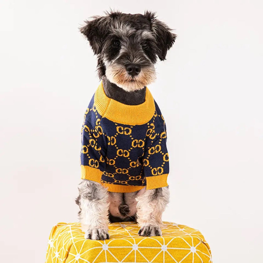 Gigi Bumble Bee Dog Sweater | Knit Dog Clothes for Small and Large Dogs