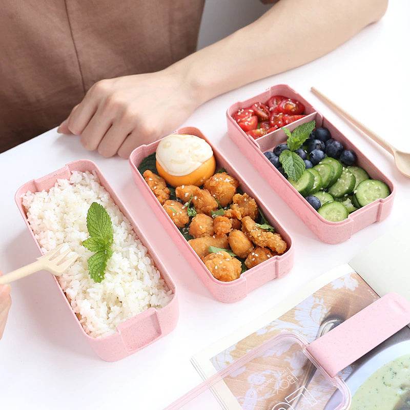 Microwave-Safe Multi Layer Lunch Box for Kids