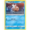 Magikarp (Holo Common) (8/18) (DEP)