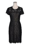 BANANA REPUBLIC Women Fit & Flare Dresses Regular fit in Black - 6